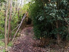 -竹上云想餐厅民宿