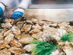 -V-ONE西雅图海鲜自助餐厅(仓山万达广场店)