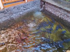 -耕渔小院·湖南鱼鲜(望城店)