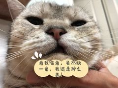 -守诺宠物医院·眼科· 特色牙科·异宠专科(虹口店)