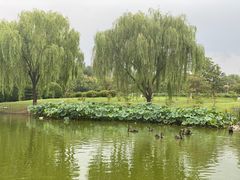 -燕郊植物园