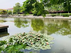 -江南大学(蠡湖校区)