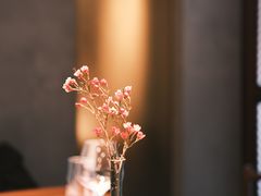 -觀芷隐轩