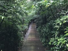 -上海佘山国家森林公园西佘山园