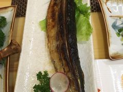 -樱の千渡日式料理·铁板烧•烧鸟(金盛田广场店)