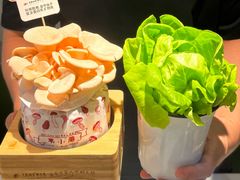 -烹然四季椰子鸡火锅(姚家园万象汇店)