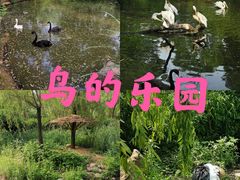 -济南野生动物世界