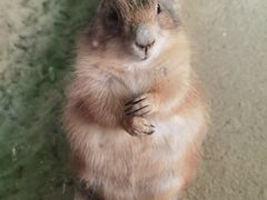 -杭州野生动物世界