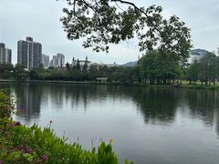 -四海公园(南山区)