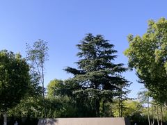 -汉长安城未央宫国家考古遗址公园