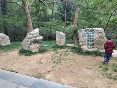 -敬亭山风景名胜区