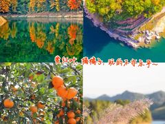 -千岛湖燃擎卡丁车赛车主题乐园(秀湖路店)