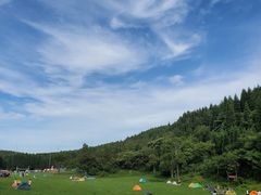-武陵山森林公园
