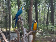 -北京野生动物园