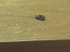 -金茂园大酒店
