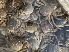 -上海浦南农副产品批发市场