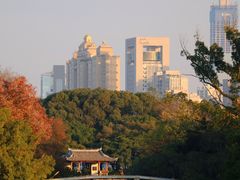 -江心屿景区