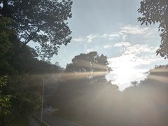 -黄埔油麻山森林公园