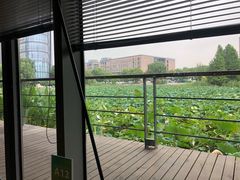 荷花-3W咖啡(国家软件园店)