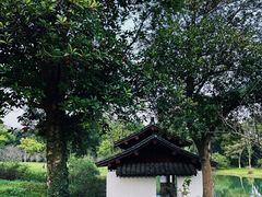 -杭州植物园