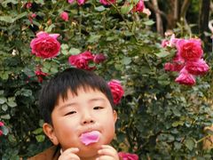 -人民公园(罗湖区)