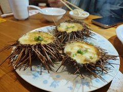 -海胆小馆(东北水饺·春柳店)