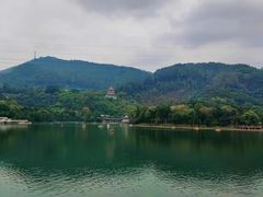 -水濂山森林公园