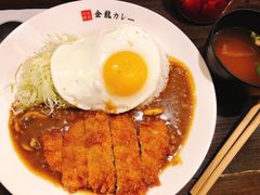 -金龙咖喱