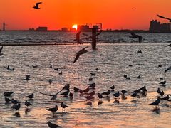 -老虎石海上公园