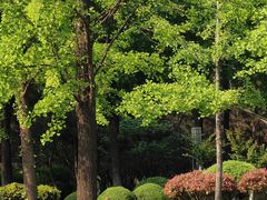 -日照灯塔风景区