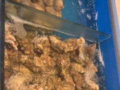 -火舞泰·泰式海鲜火锅餐厅(世纪城店)