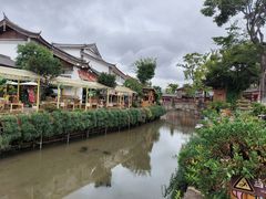 -菌自由丨野生菌火锅特色庭院餐厅(丽江古城店)