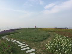 -巢湖姥山岛