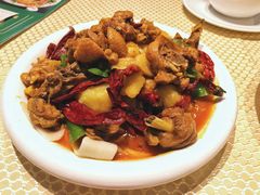 新疆大盘鸡-巴扎美食·新疆菜·西域歌舞表演餐厅(新疆大厦店)
