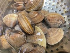 -潮庭·大连海鲜·炭火烧烤·扇贝王(大连店)