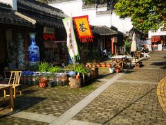 -八大山人梅湖景区