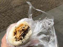 -殷姐糯米包油条