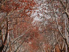 -云龙湖旅游景区