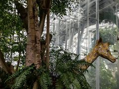 -北京植物园-展览温室