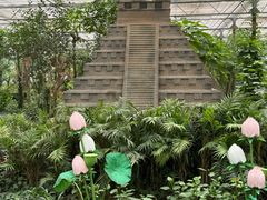 -南宫五洲植物乐园