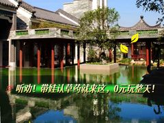 -广州神农草堂中医药博物馆