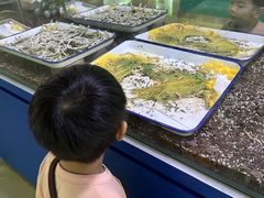 -上海昆虫博物馆