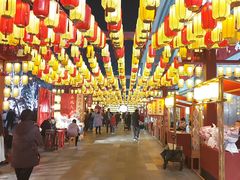 -武汉园博园(武汉自然博物馆)