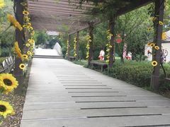 -白马涧龙池景区