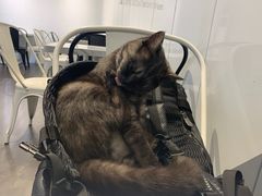-乐果甜心·潮汕冰室(南澳后宅分店)