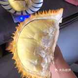 应该是一枚来报恩的榴莲了