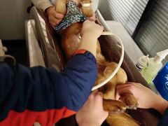 -伟伟宠物医院·CT影像中心·瑞派犬猫综合性门诊(汉口总院)