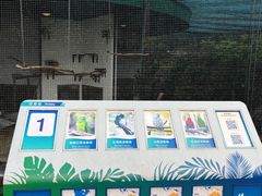 -九龙公园
