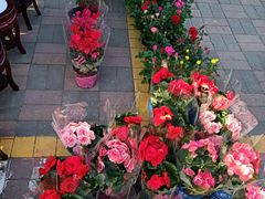 -中环花鸟鱼虫市场