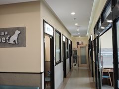 -爱派特动物医院·全科诊疗中心